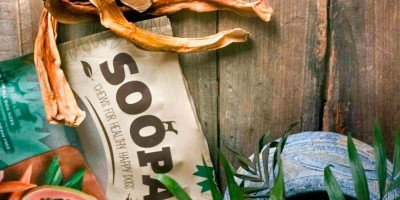 Why is papaya good for your dog?