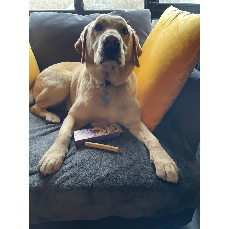 Soopa BANANA & PUMPKIN SENIOR Dental Sticks