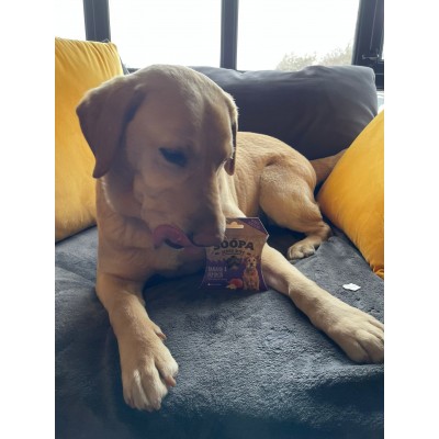 Soopa BANANA & PUMPKIN SENIOR Healthy Bites