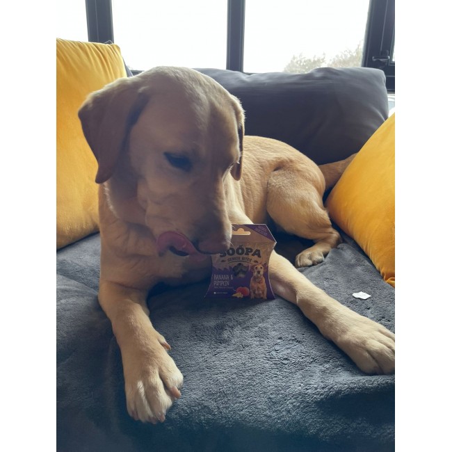 Soopa BANANA & PUMPKIN SENIOR Healthy Bites