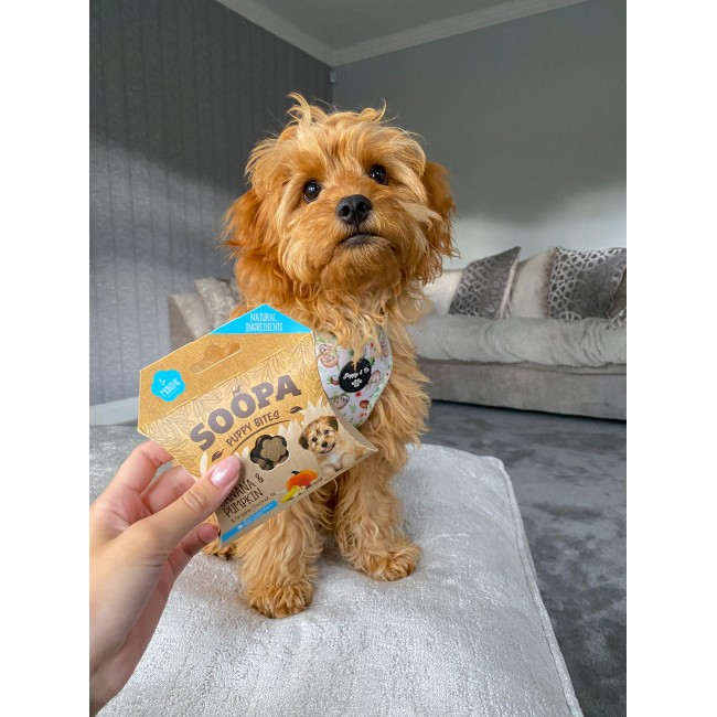 Soopa BANANA & PUMPKIN PUPPY Healthy Bites